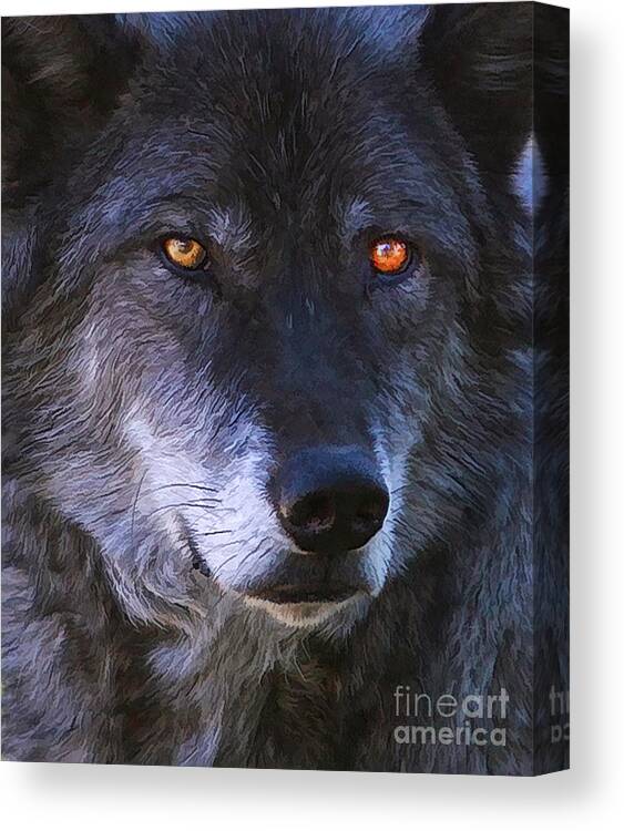 Wolf Canvas Print featuring the photograph Eyes by Clare VanderVeen