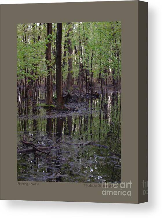 Swamp Canvas Print featuring the photograph Floating Forest-I by Patricia Overmoyer