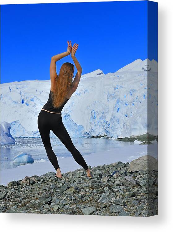 Antarctica Canvas Print featuring the photograph Global Warming by Tony Beck