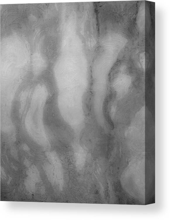 Grey Canvas Print featuring the photograph Grey Ghost 1 by Douglas Barnett