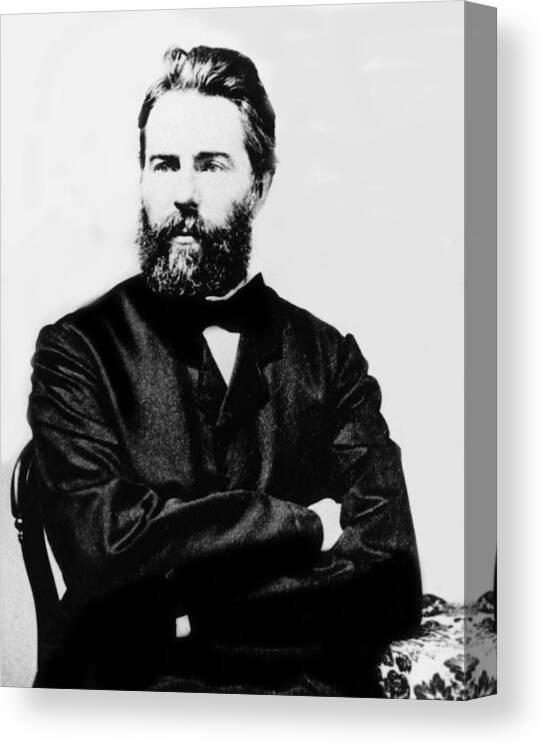 19th Century Canvas Print featuring the photograph Herman Melville, Late 19th Century by Everett