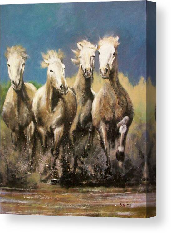 Horses Camargue Marshes Grey Horses Canvas Print featuring the painting Last one's a sissy by Tom Smith