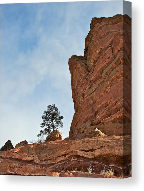 Red Rocks Canvas Print featuring the photograph Lone Tree at Red Rocks by Stephen Johnson