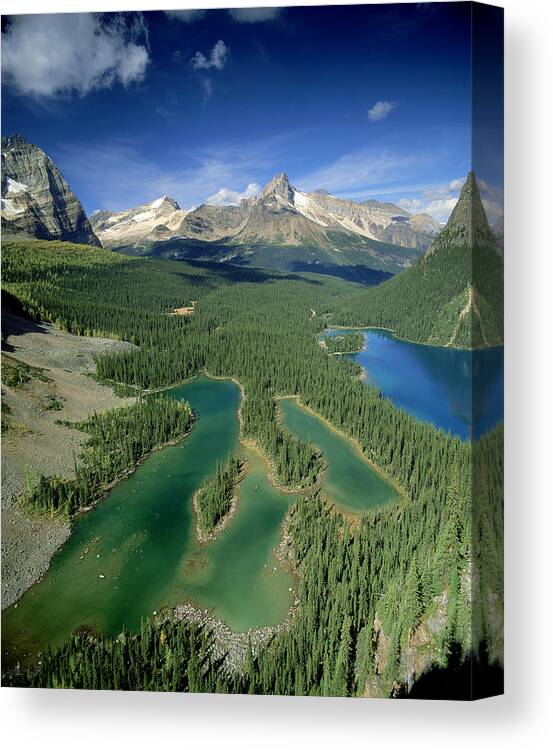 Aerial Image Canvas Print featuring the photograph Mary Lake And Lake O Hara, Yoho by David Nunuk