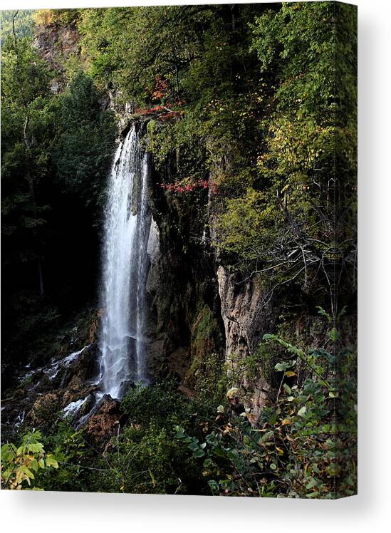 Mountain Canvas Print featuring the painting Mountain Waterfall by Karen Harrison Brown