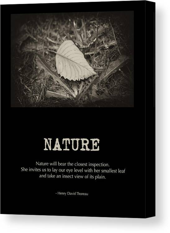 Poster Art Canvas Print featuring the photograph Nature by Bonnie Bruno