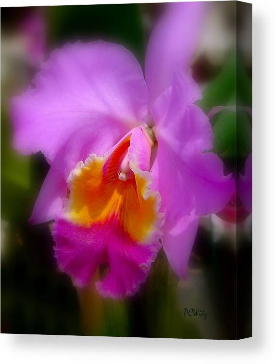 Orchid Canvas Print featuring the photograph Orchid by Patrick Witz