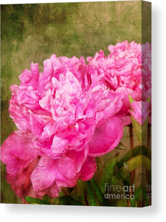 Photograph Canvas Print featuring the photograph Pink Peony Texture 3 by Bob and Nancy Kendrick