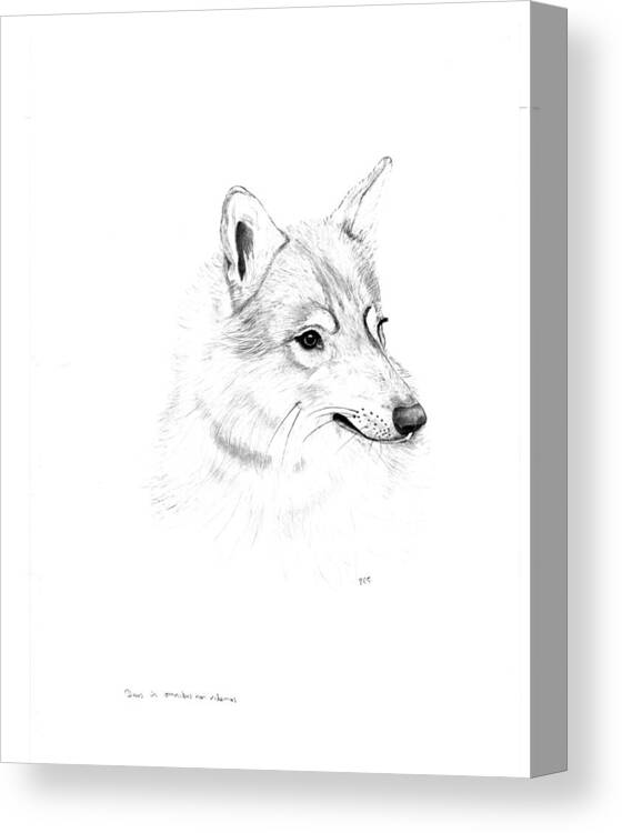 Drawing Canvas Print featuring the drawing Portrait of a Wolf by Peter Edward Green 