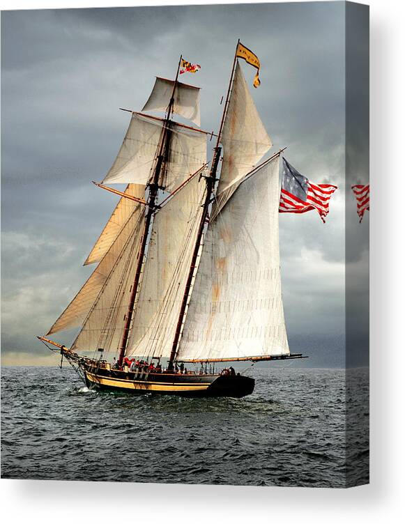 Tall Ship Canvas Print featuring the photograph Pride of Baltimore II by Fred LeBlanc