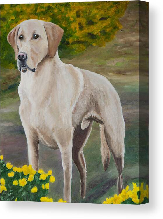 Yellow Lab Canvas Print featuring the painting Ready to Retrieve by Roger Wedegis