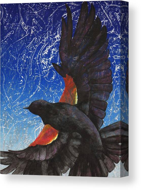 Bird Canvas Print featuring the drawing Redwing by Sara Bell 