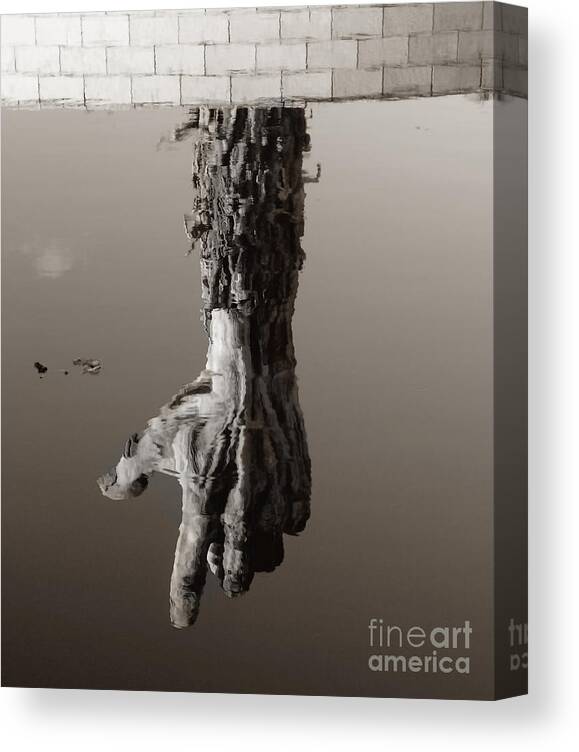 Reflections Canvas Print featuring the photograph Reflections Of The Past by Raymond Earley