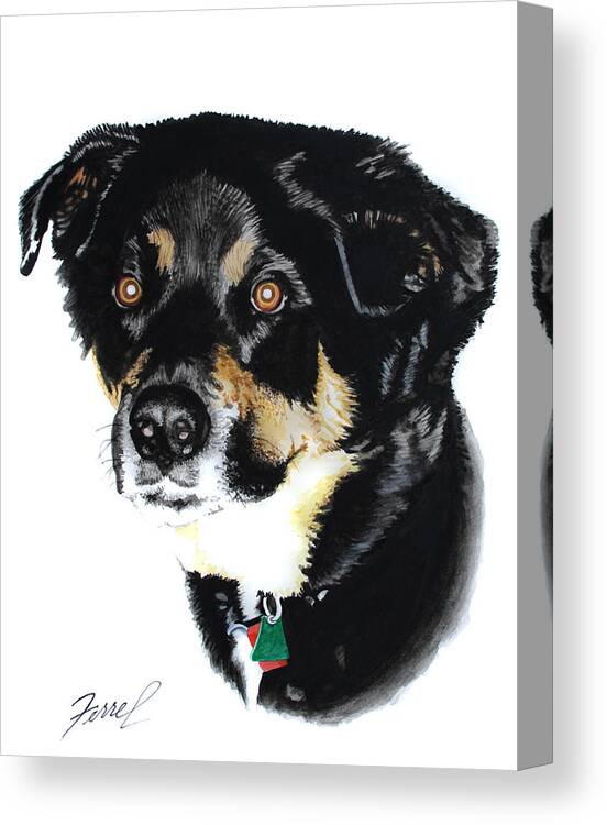 Dog Canvas Print featuring the painting Rottweiler Mix by Ferrel Cordle