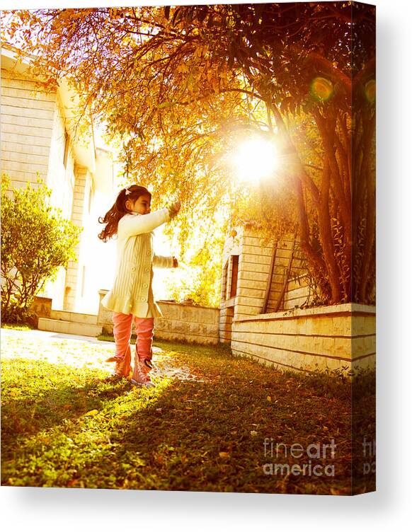 Arms Canvas Print featuring the photograph Small girl in sunny autumn day by Anna Om