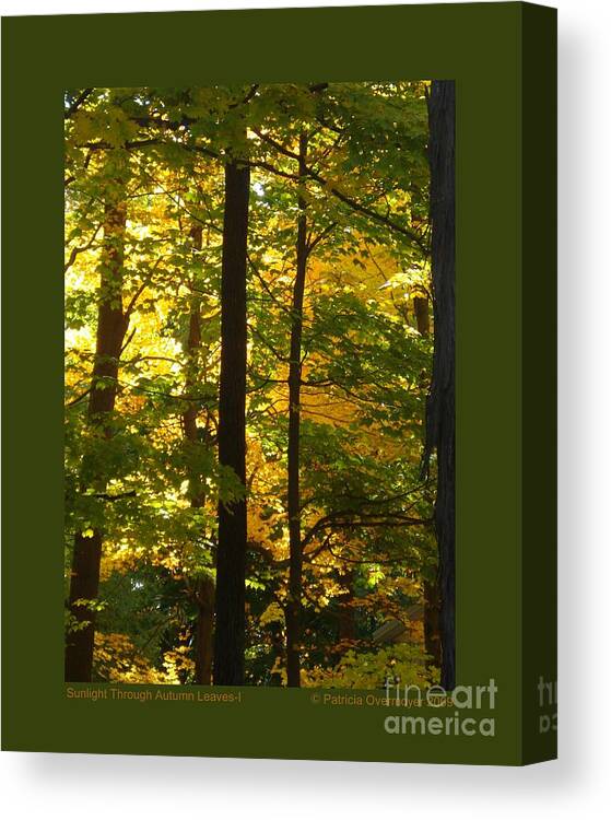 Landscape Canvas Print featuring the photograph Sunlight Through Autumn Leaves-I by Patricia Overmoyer