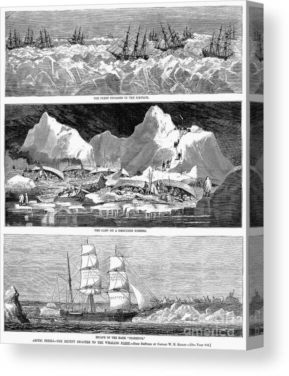 1876 Canvas Print featuring the photograph Whaling Fleet In Ice, 1876 by Granger