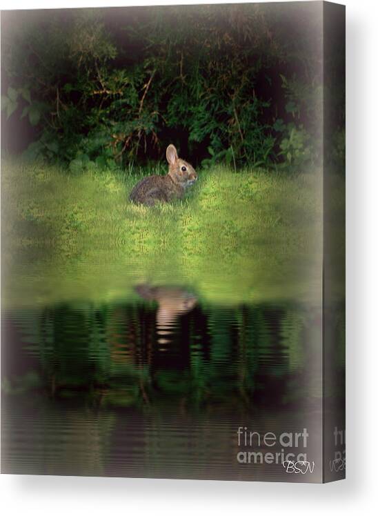 Rabbit Canvas Print featuring the photograph Dusk Bunny by Barbara S Nickerson