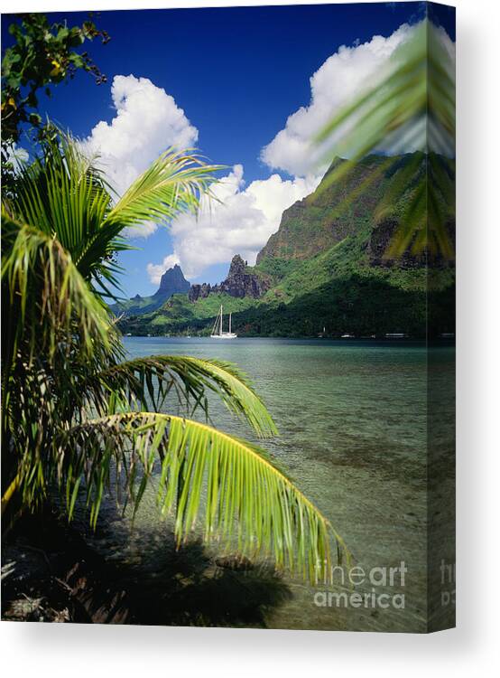 Across Canvas Print featuring the photograph Cooks Bay with sailboat #1 by Ron Dahlquist - Printscapes