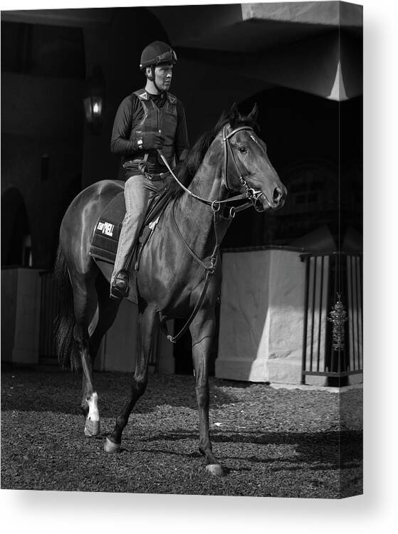 Del Mar Canvas Print featuring the photograph Del Mar Paddock by Dusty Wynne