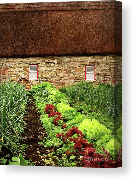 Farm Canvas Print featuring the digital art Garden Farm #1 by Vicki Lea Eggen