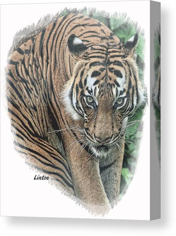 Tiger Canvas Print featuring the digital art Malayan Tiger #1 by Larry Linton