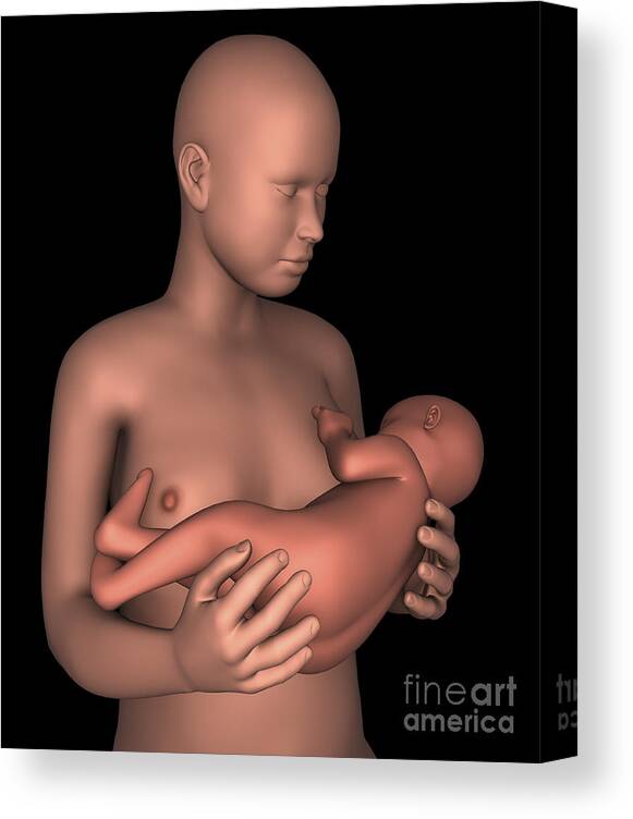 Vertical Canvas Print featuring the digital art Mother Breastfeeding Baby #1 by Stocktrek Images