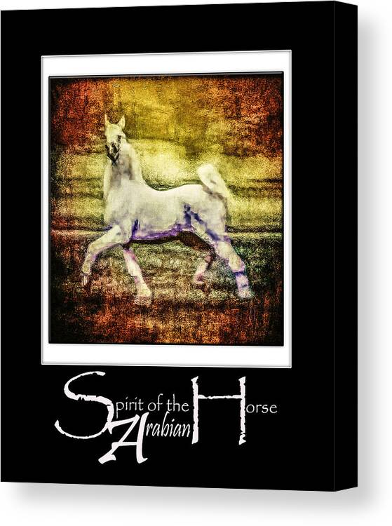 Animal Canvas Print featuring the digital art The King by Janice OConnor