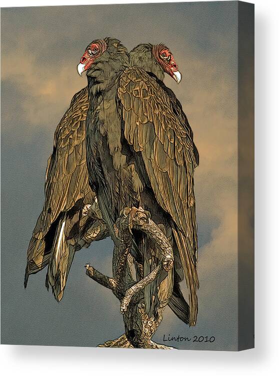 Turkey Vulture Canvas Print featuring the digital art Turkey Vulture Pair #1 by Larry Linton