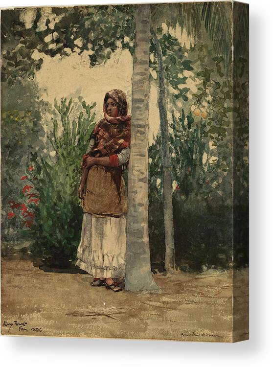 Winslow Homer Canvas Print featuring the painting Under a Palm Tree #3 by Winslow Homer