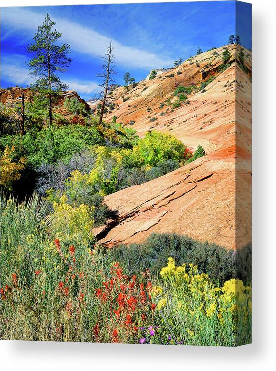 Zion National Park Canvas Print featuring the photograph Zion Slickrock #1 by Frank Houck