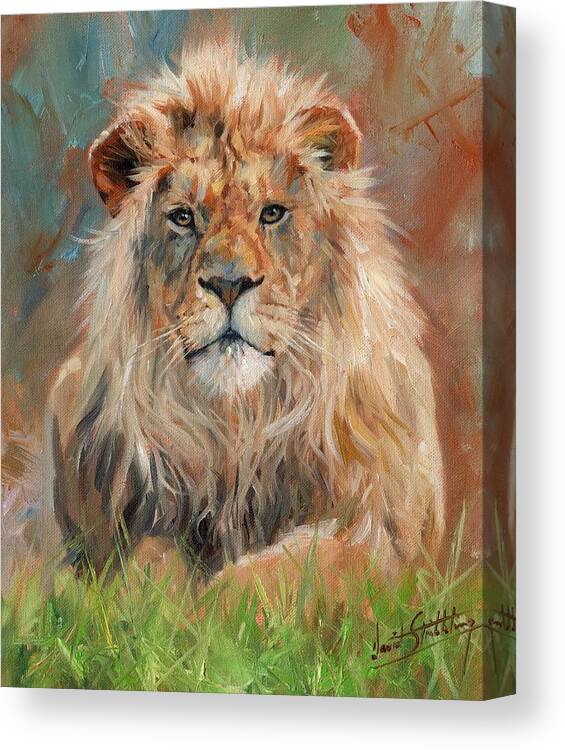Lion Canvas Print featuring the painting Lion #10 by David Stribbling