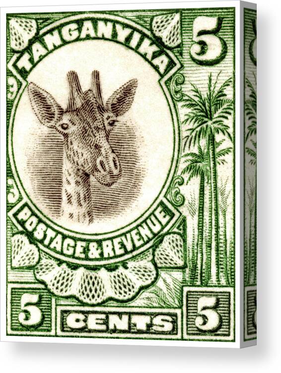 Giraffe Canvas Print featuring the painting 1922 East African Giraffe Stamp by Historic Image