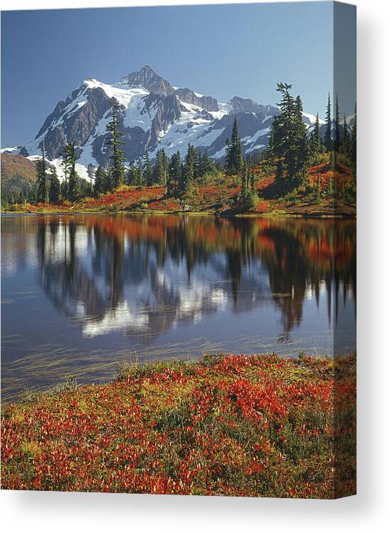 1m4208 Canvas Print featuring the photograph 1M4208 Mt. Shuksan and Picture Lake by Ed Cooper Photography