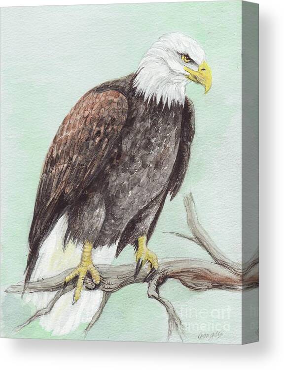 America Canvas Print featuring the painting Bald Eagle #2 by Morgan Fitzsimons