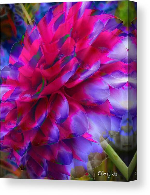 Flower Canvas Print featuring the photograph Untitled #20 by Gerry Tetz