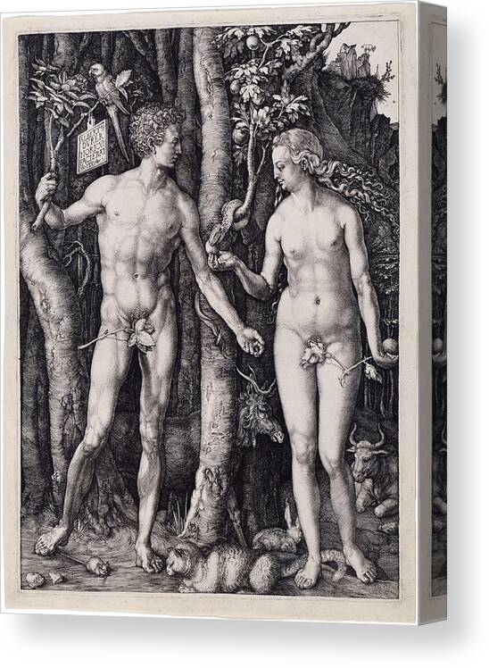 Durer Canvas Print featuring the drawing Adam and Eve #4 by Albrecht Durer