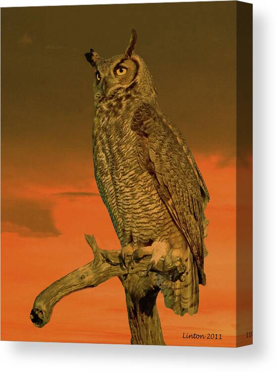 Great Horned Owl Canvas Print featuring the photograph Great Horned Owl #4 by Larry Linton
