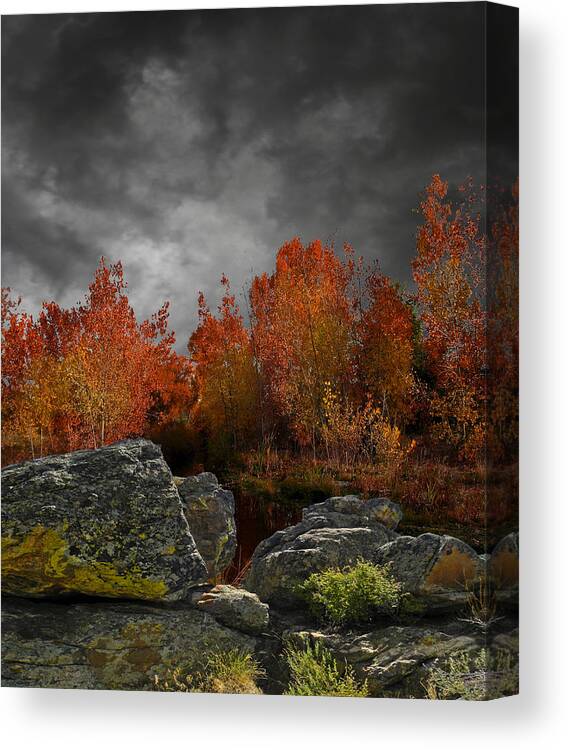Landscape Canvas Print featuring the photograph 4004 by Peter Holme III