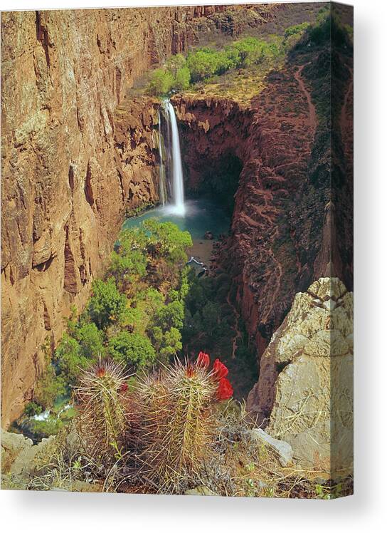 513216 Canvas Print featuring the photograph 513216 Mooney Falls AZ by Ed Cooper Photography