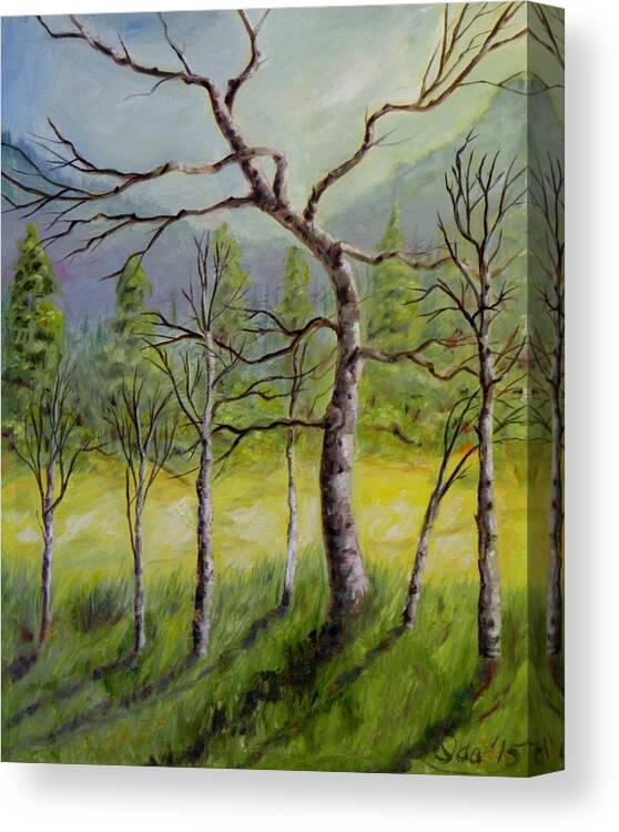 Trees Cottonwoods Fir Forest Mountains Grass Field Light Sunlight Dark Shade Shadow Branches Bark Sky Clouds Bush Landscape Blue Violet Yellow Green Brown White Canvas Print featuring the painting A Family Of Trees by Ida Eriksen