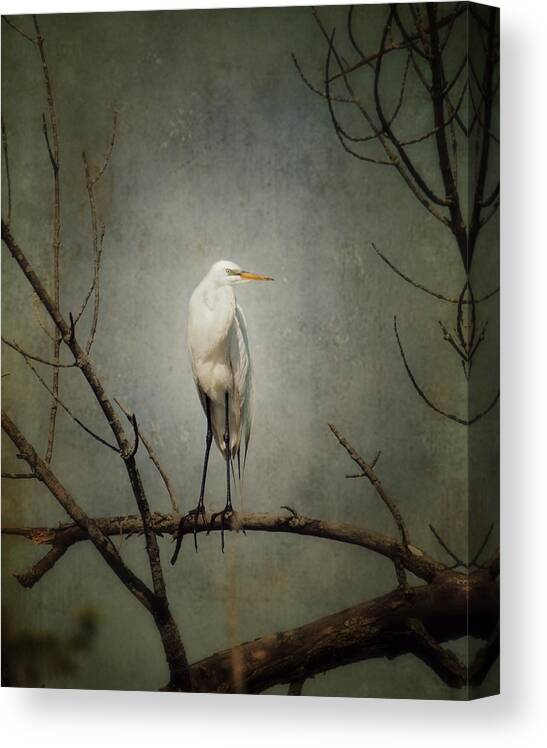 Great Egret Canvas Print featuring the photograph A Great Egret by Al Mueller