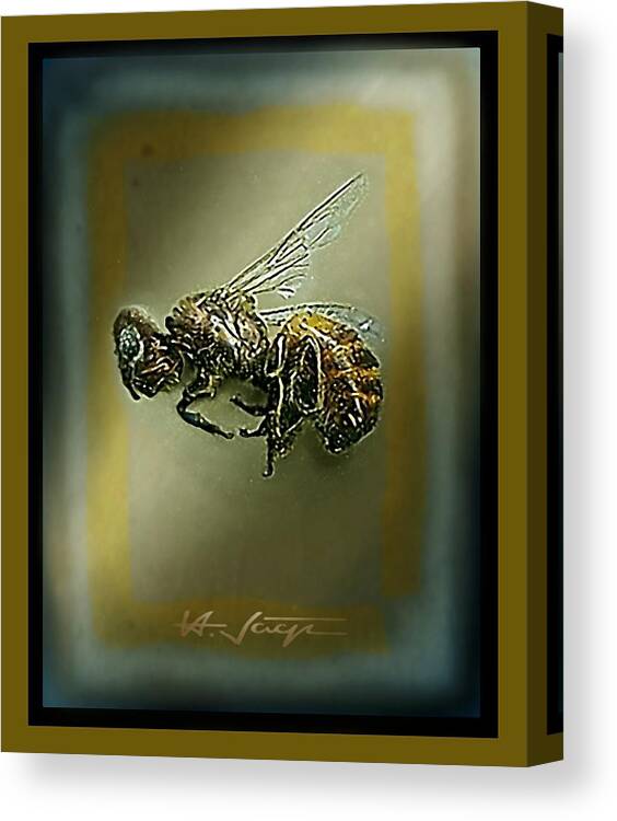 Bee Canvas Print featuring the photograph A Humble Bee Remembered by Hartmut Jager