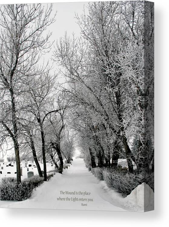 Photograph Canvas Print featuring the photograph A Reminder by Rhonda McDougall