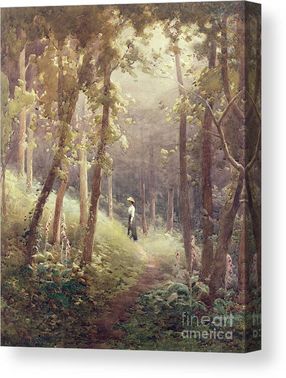 Forest;path;woman;foxglove Canvas Print featuring the painting A Woodland Glade by John Farquharson