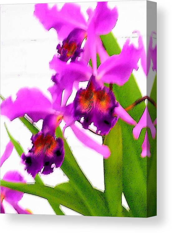 Flowers Canvas Print featuring the digital art Abstract Iris by Anita Burgermeister