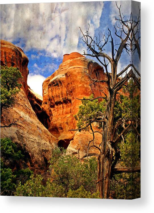 Arches National Park Canvas Print featuring the photograph Aches Landscape 5 by Marty Koch