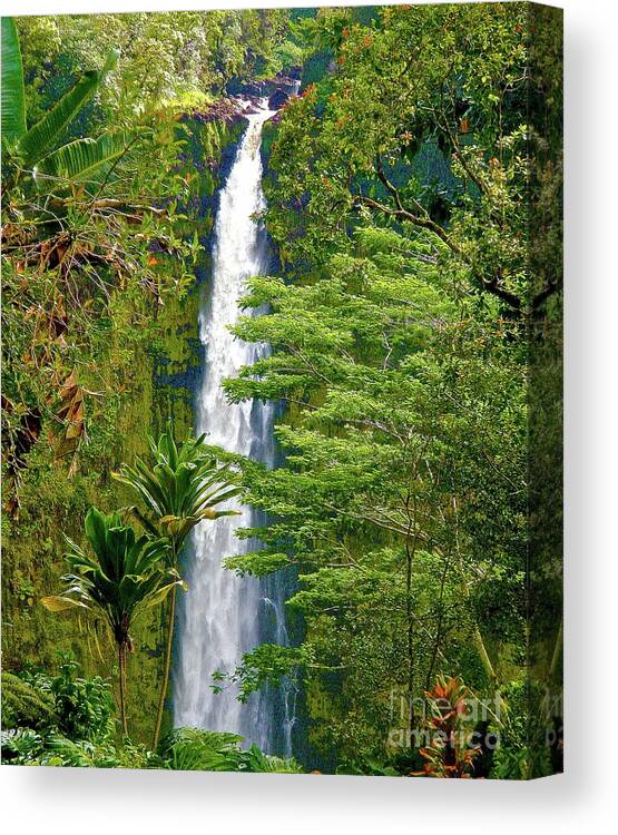 Waterfalls Canvas Print featuring the photograph Akaka Waterfall Hilo by Cheryl Cutler