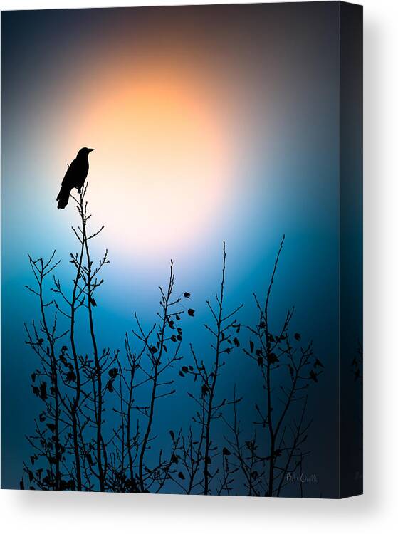 Crow Canvas Print featuring the photograph American Crow Sunrise by Bob Orsillo