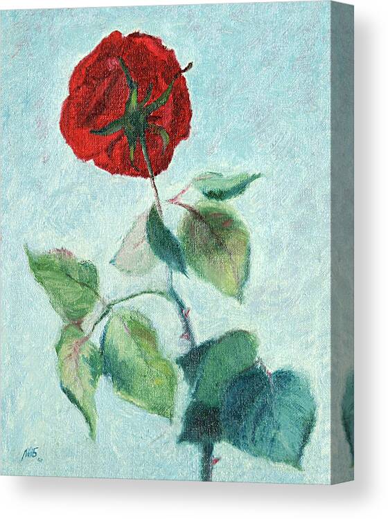 Rose Canvas Print featuring the painting Another Look at a Rose by Masha Batkova